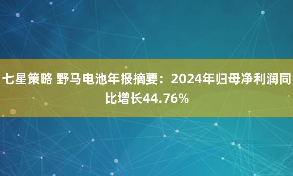 七星策略 野马电池年报摘要：2024年归母净利润同比增长44.76%