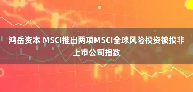 鸿岳资本 MSCI推出两项MSCI全球风险投资被投非上市公司指数