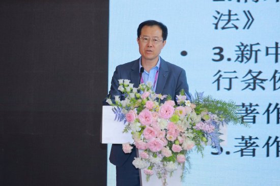 恒信期货 华东政法大学丛立先：中国产业和IP增长应被定位为国际战略，企业是最重要的因素