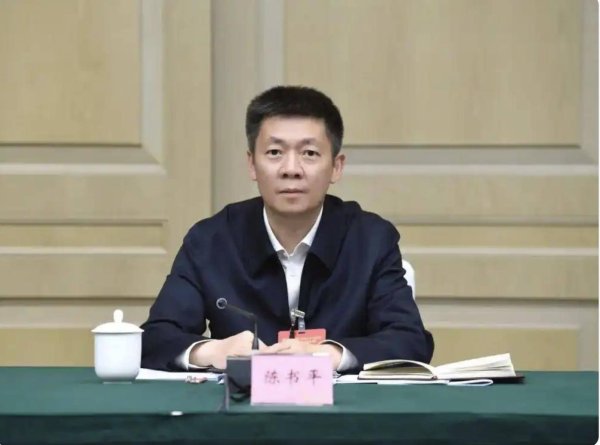 招财猫配资 极目政情丨陈书平任四川省副省长