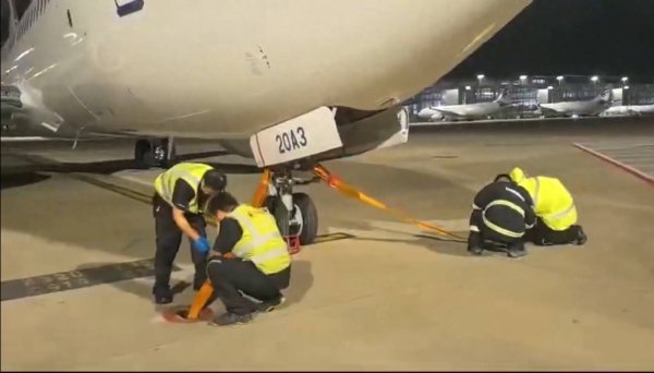 云策略 台风“竹节草”裹挟风雨来袭，记者直击航司“绑飞机”