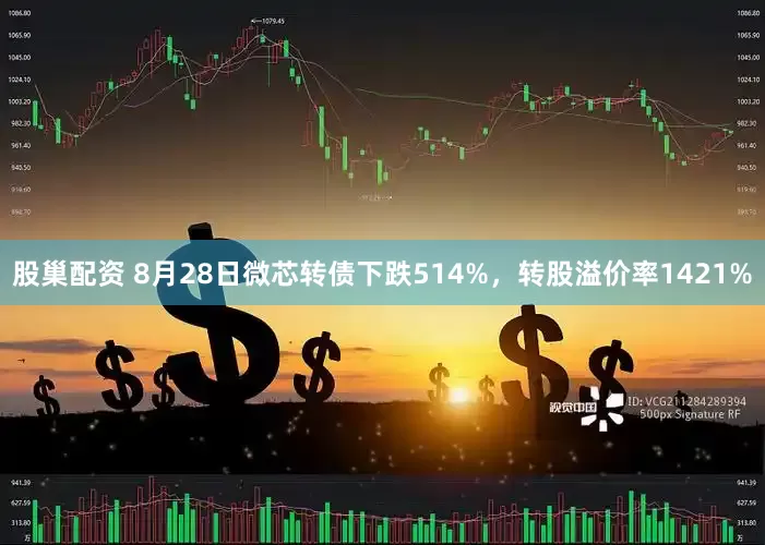 股巢配资 8月28日微芯转债下跌514%，转股溢价率1421%